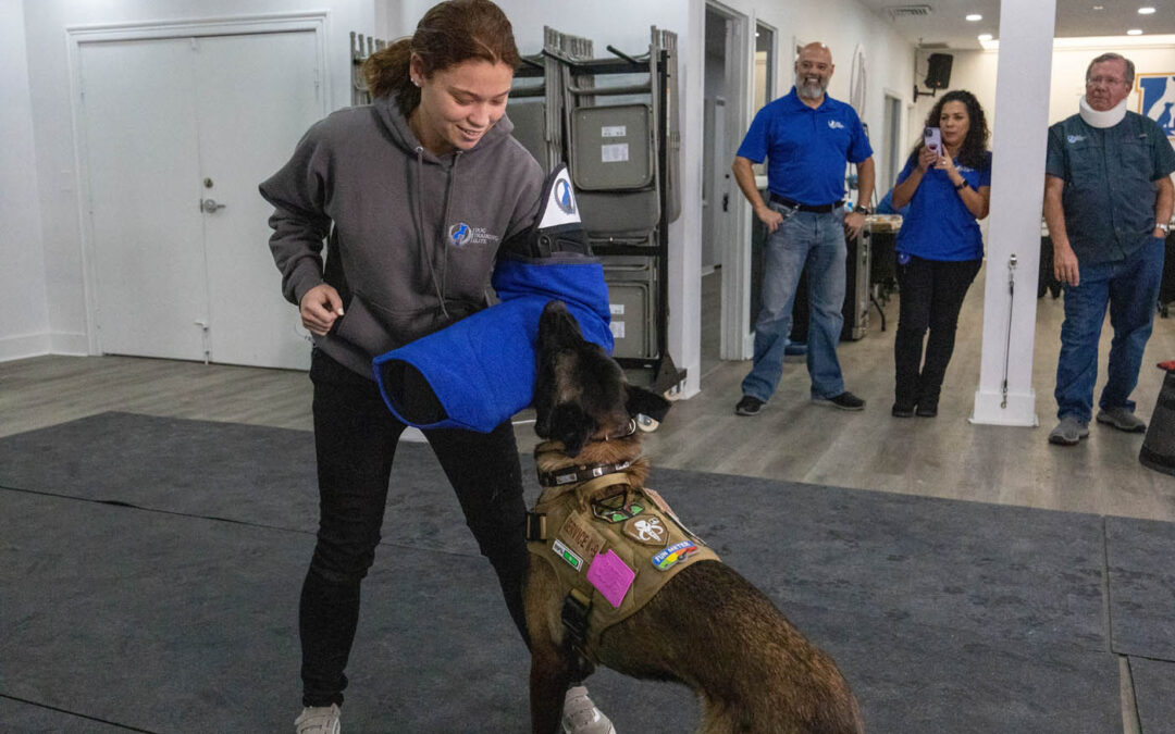 How to Start a Dog Training Business: Step-by-Step Guide to Launch and Grow Your Dog Training Career